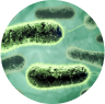 MAR